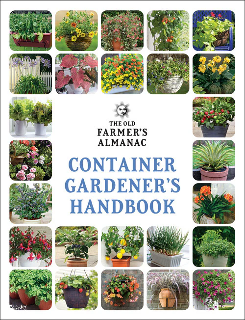 Container Gardener’s Handbook - eBook - Image 13