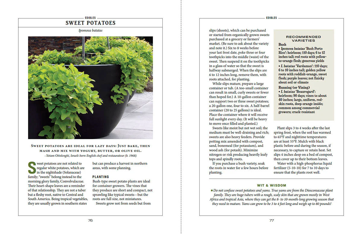 Container Gardener’s Handbook - eBook - Image 3