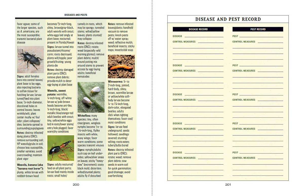 Container Gardener’s Handbook - eBook - Image 5