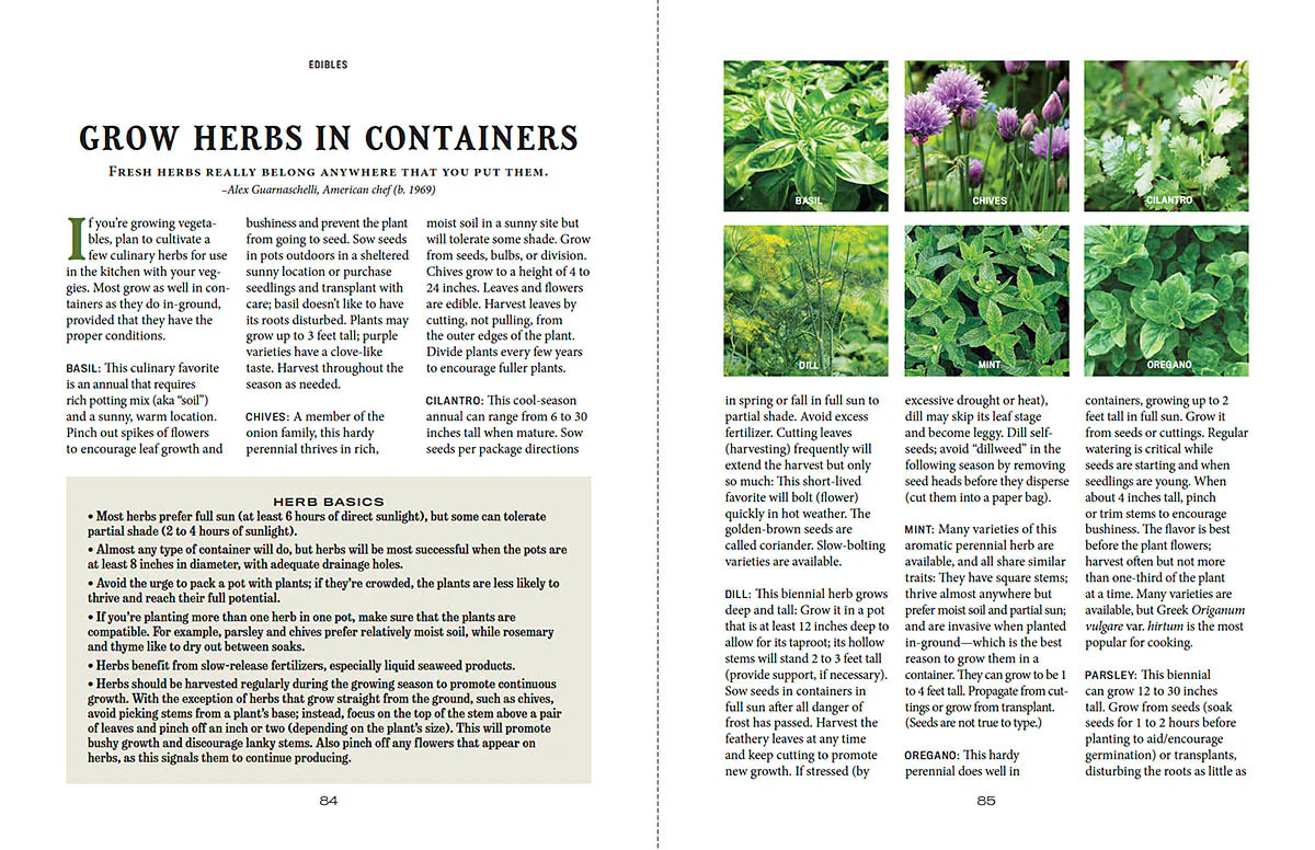 Container Gardener’s Handbook - Image 10
