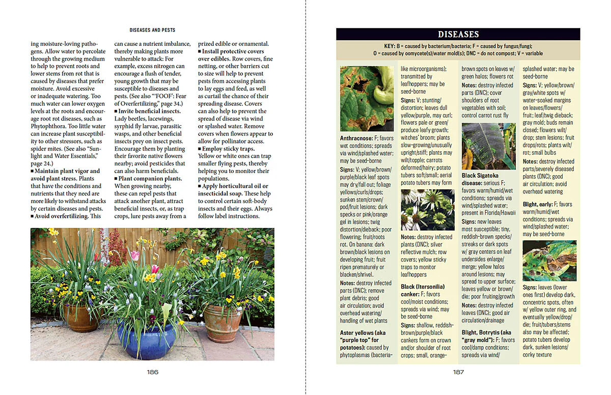 Container Gardener’s Handbook - Image 11