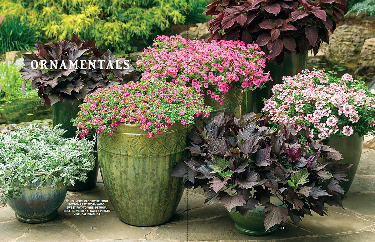 Container Gardener’s Handbook - Image 3