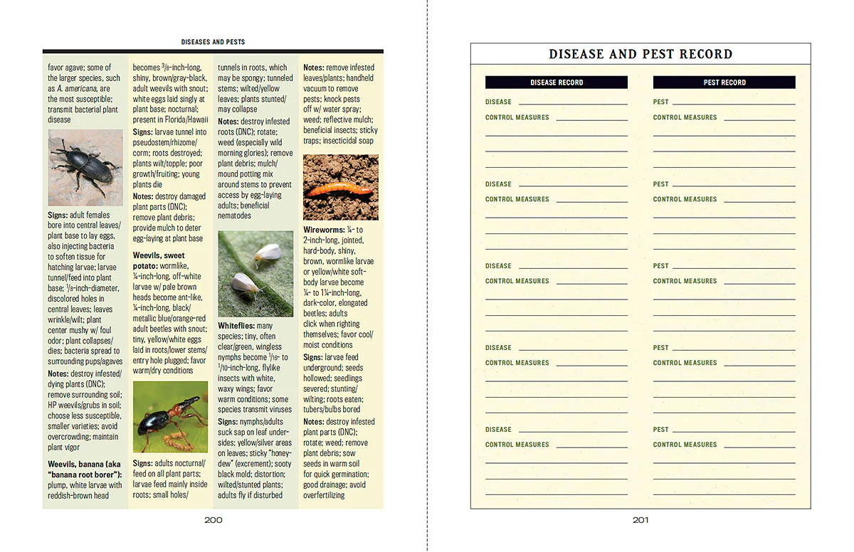 Container Gardener’s Handbook - Image 5