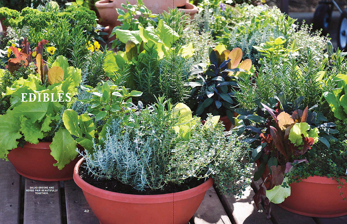 Container Gardener’s Handbook - Image 9