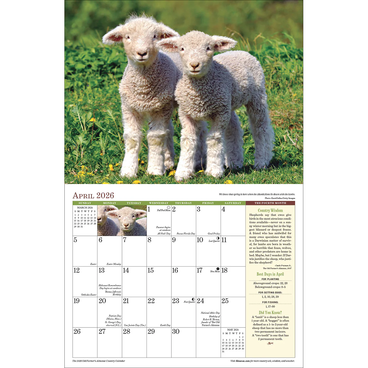 2026 Country Calendar - Image 3