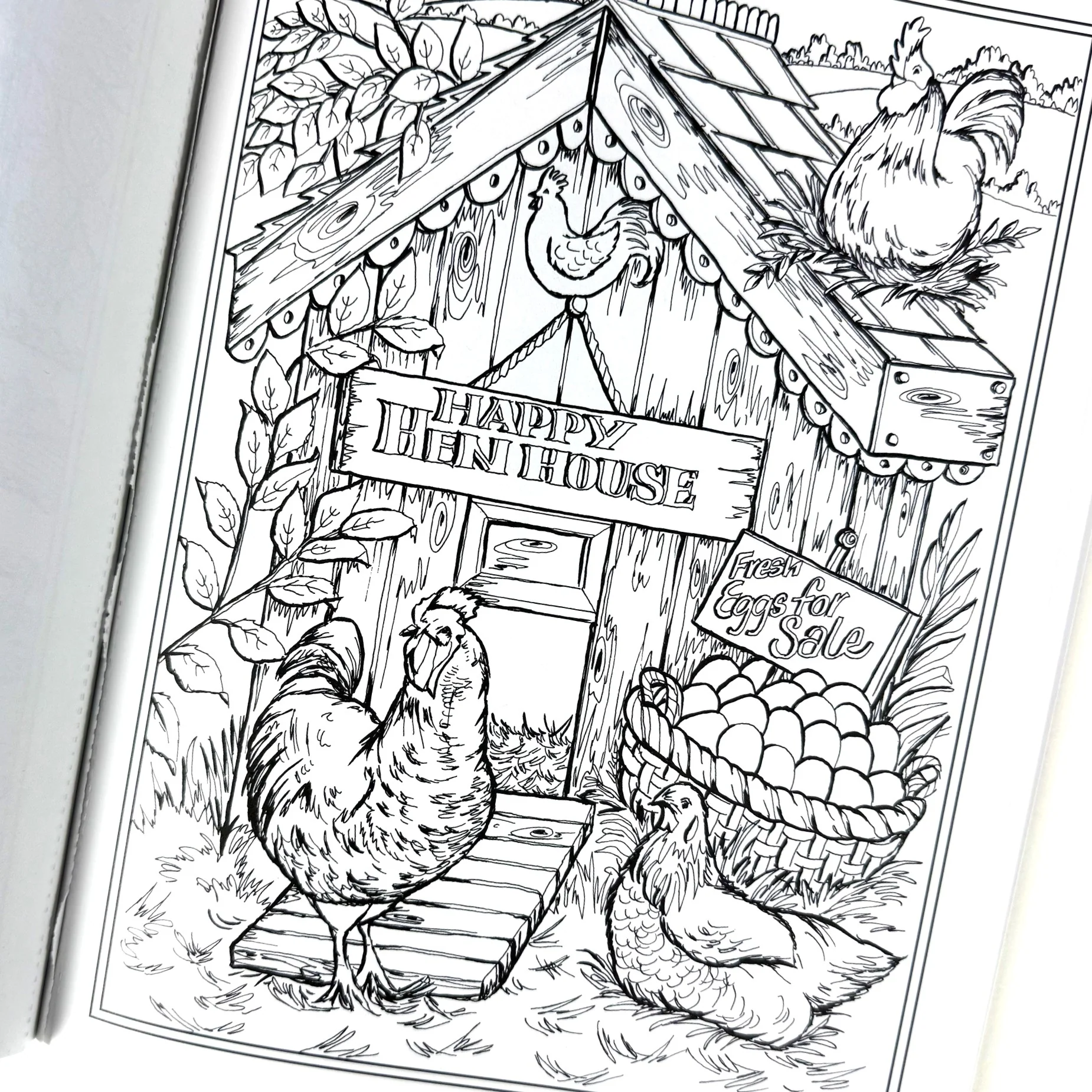 Country Farm Scenes Coloring Book - Image 3