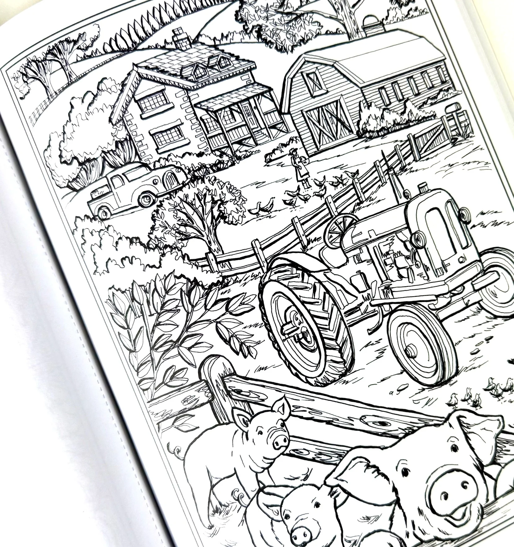 Country Farm Scenes Coloring Book - Image 4