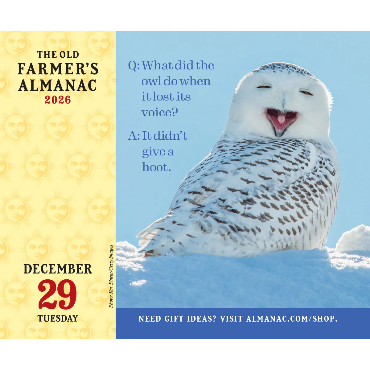 2026 Everyday Desk Calendar - Image 3
