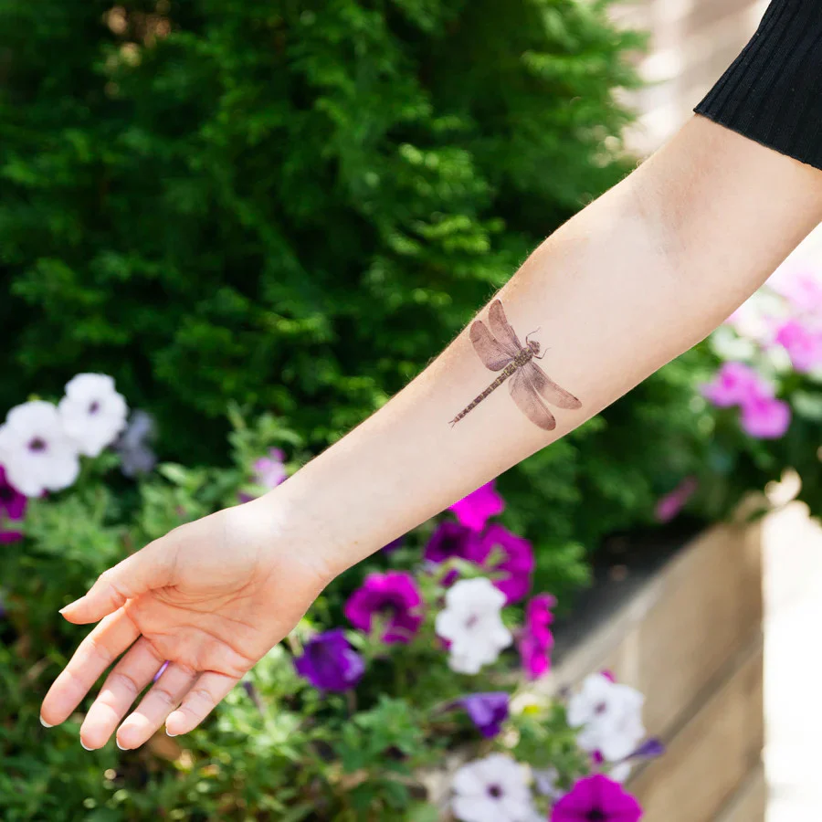 Dragonfly Temporary Tattoo Pair - Image 2