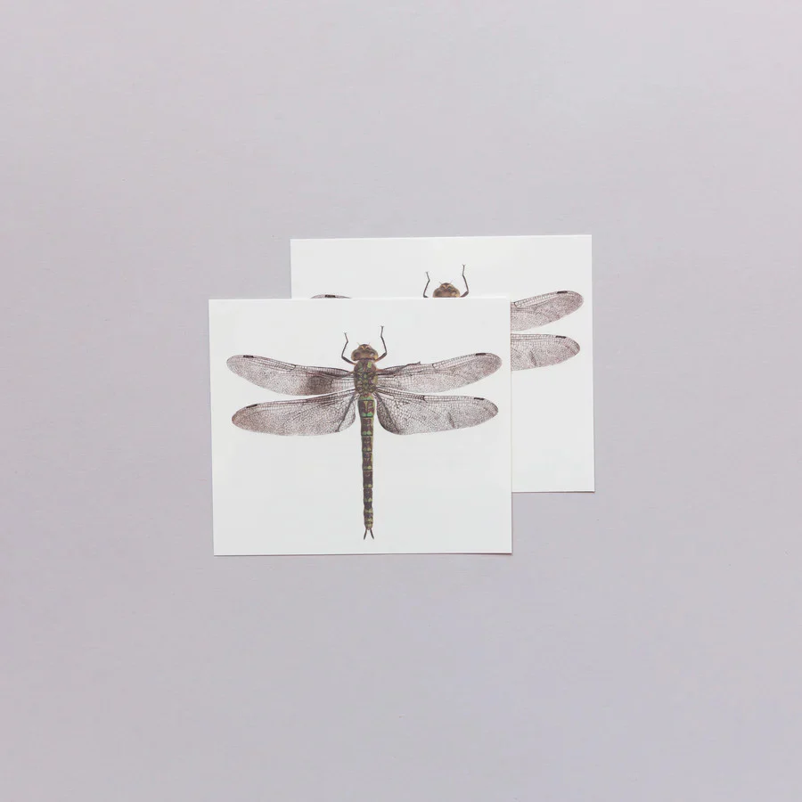 Dragonfly Temporary Tattoo Pair - Image 3