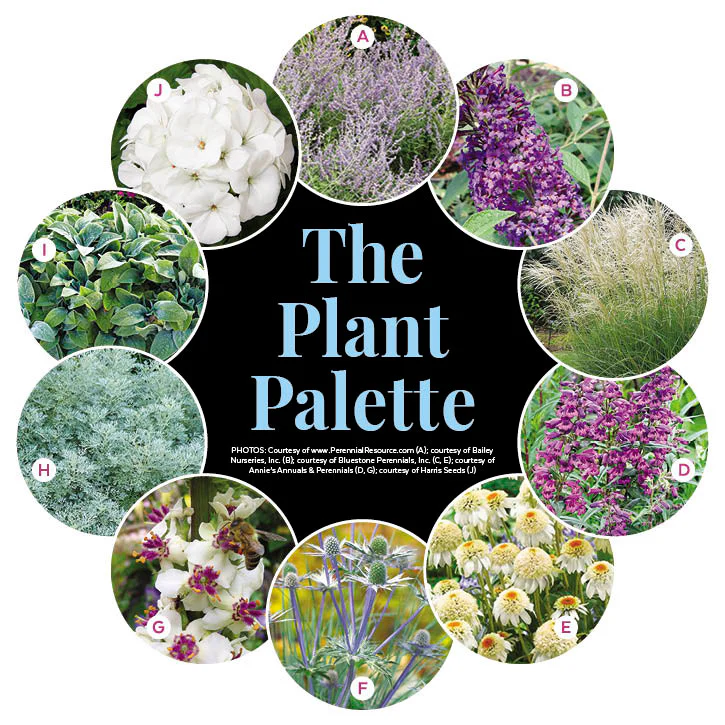 Full Sun Garden - Drought-Tolerant Border Garden Plan - Image 2