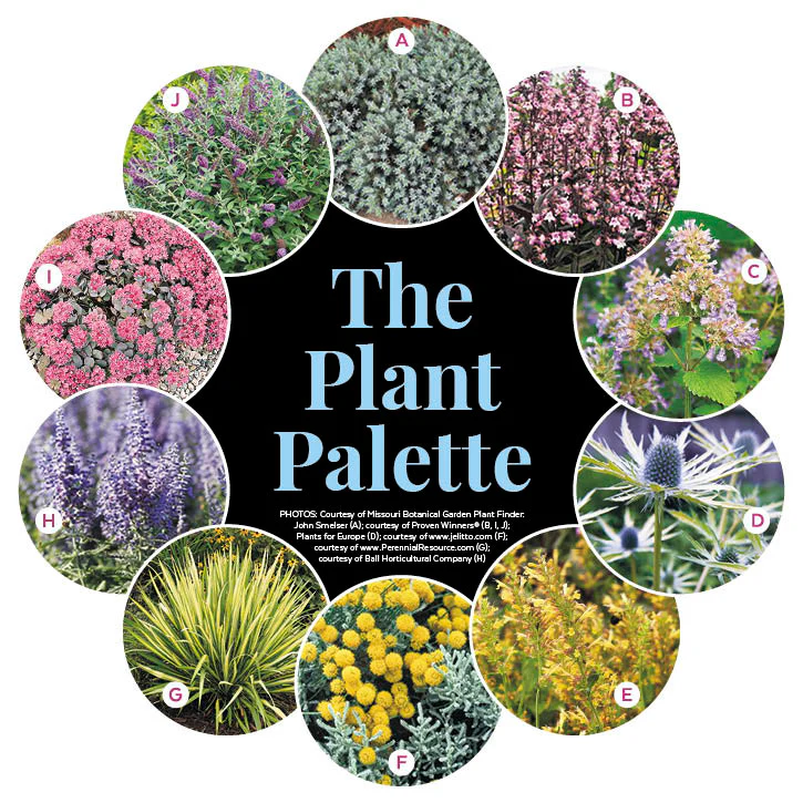 Drought-Tolerant Garden Walkway with Curb Appeal - Image 2