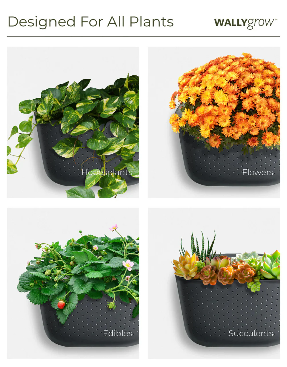 Eco Wall Planter - Image 15