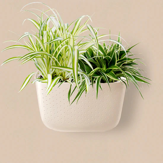 Eco Wall Planter - Image 2