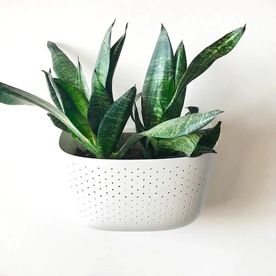 Eco Wall Planter - Image 5