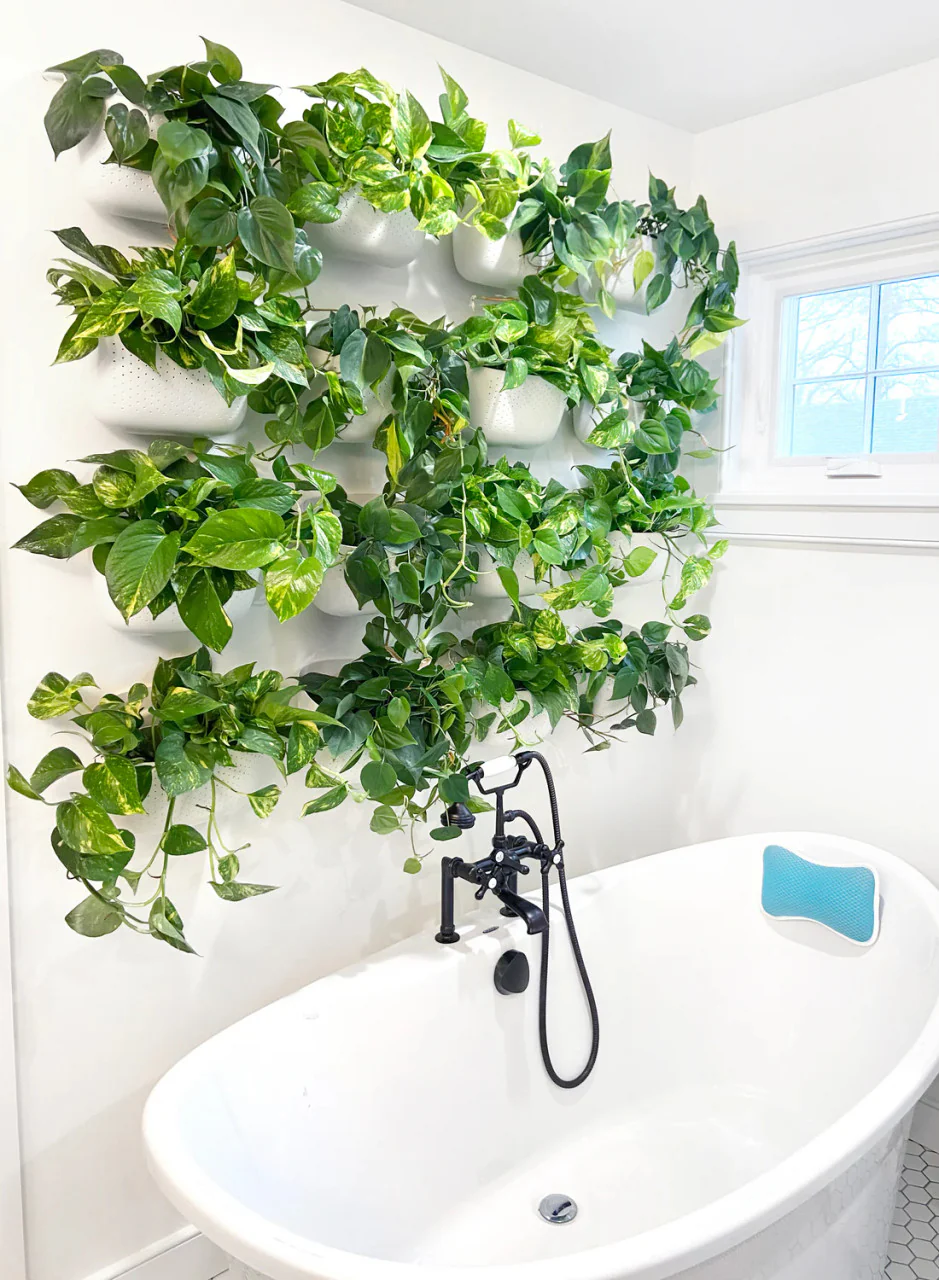 Eco Wall Planter - Image 6