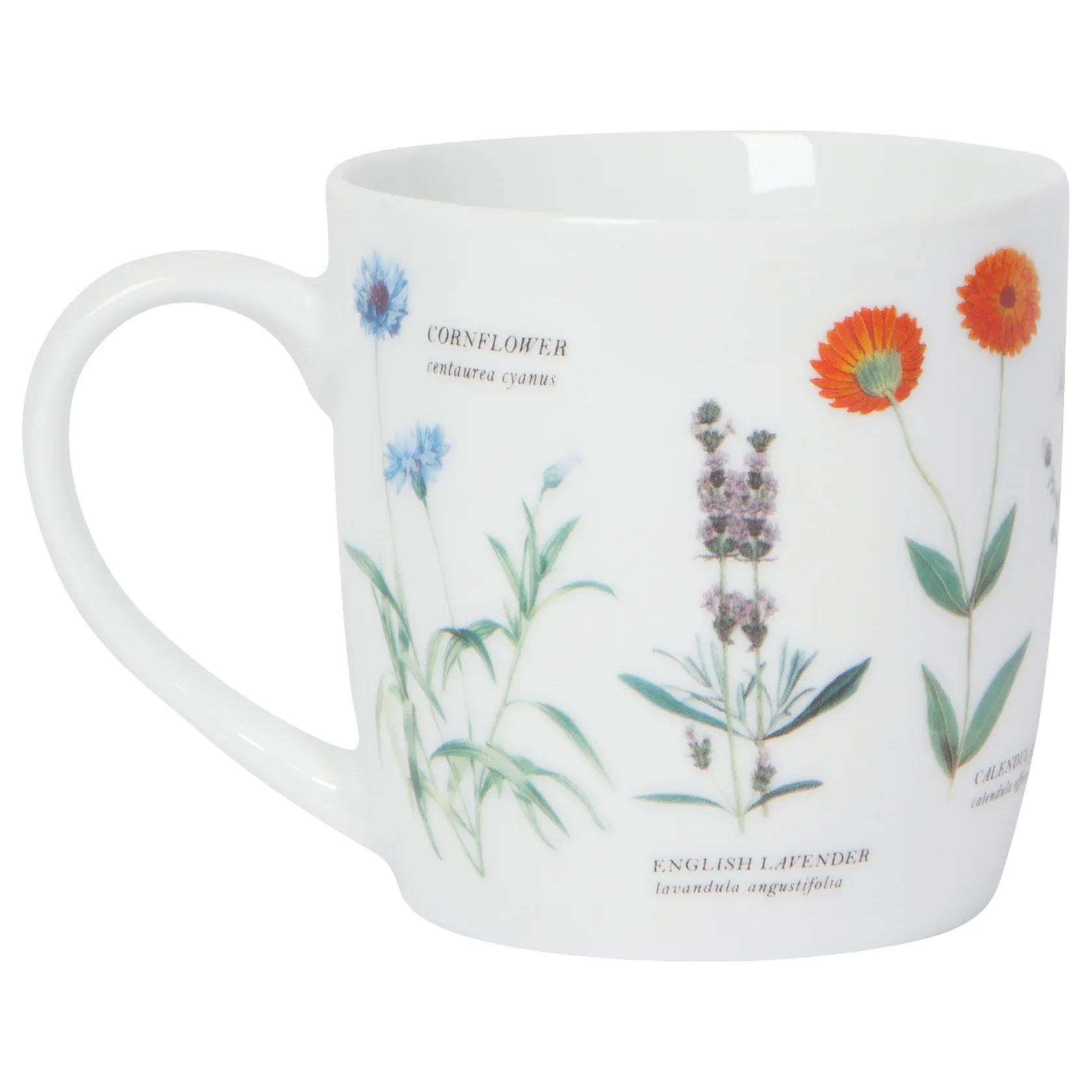 Edible Flowers Mug - Image 4