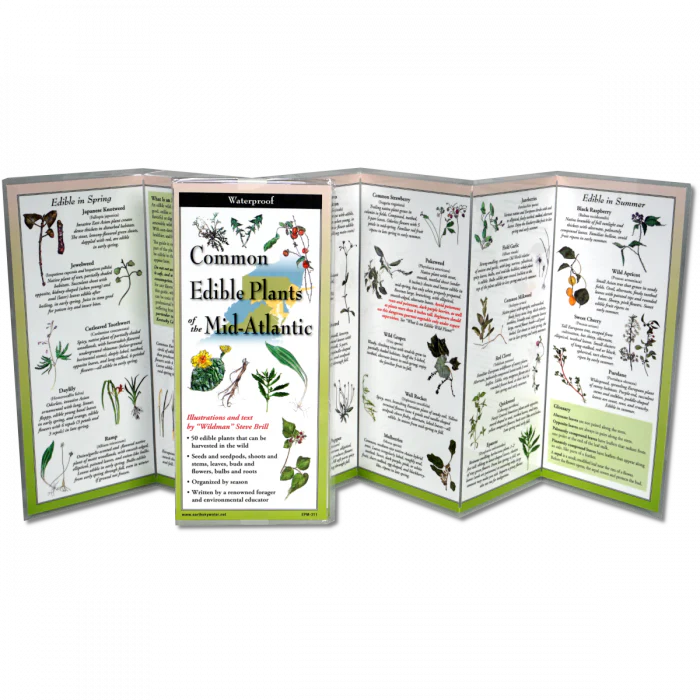 Edible Plants of the Mid-Atlantic, Folding Guide - Image 2