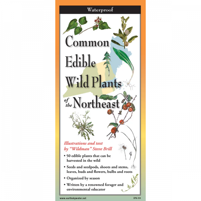 Edible Plants of the Northeast, Folding Guide