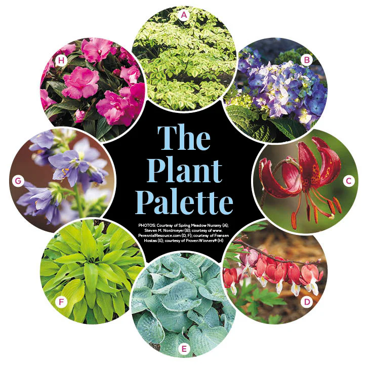 Elegant Perennial Border for Part Shade - Image 2