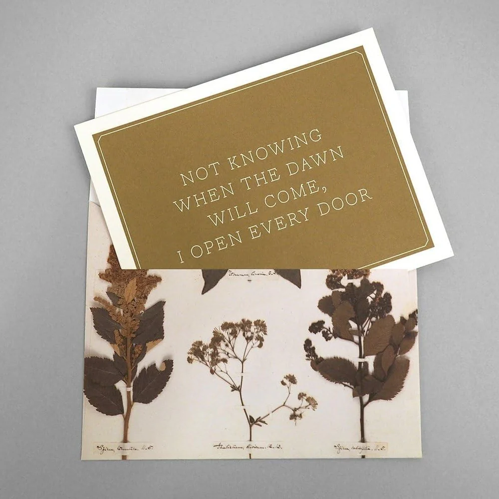 Emily Dickinson Notecards - Image 4