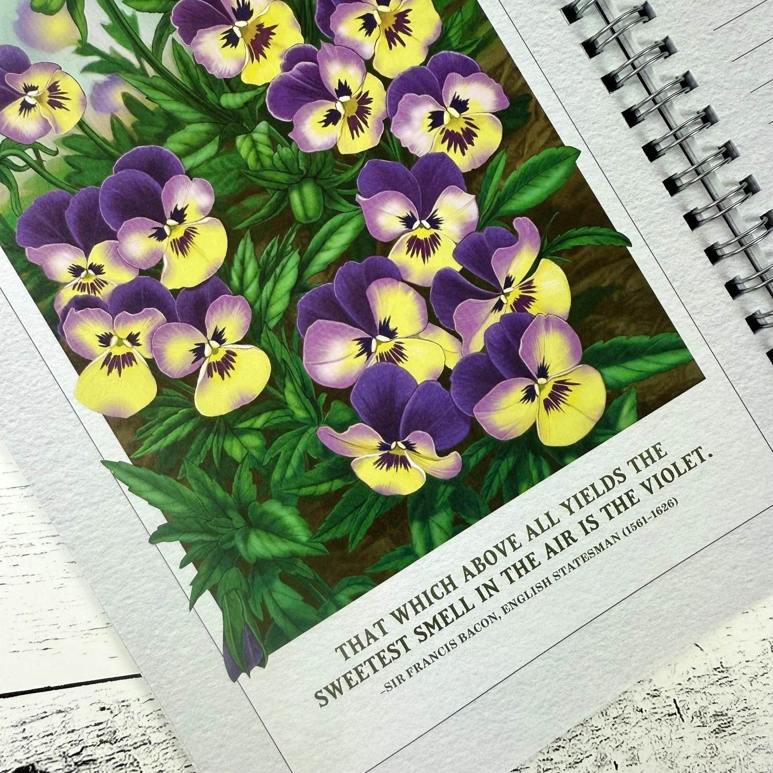 The Old Farmer's Almanac Garden Journal Volume 2 - Image 4