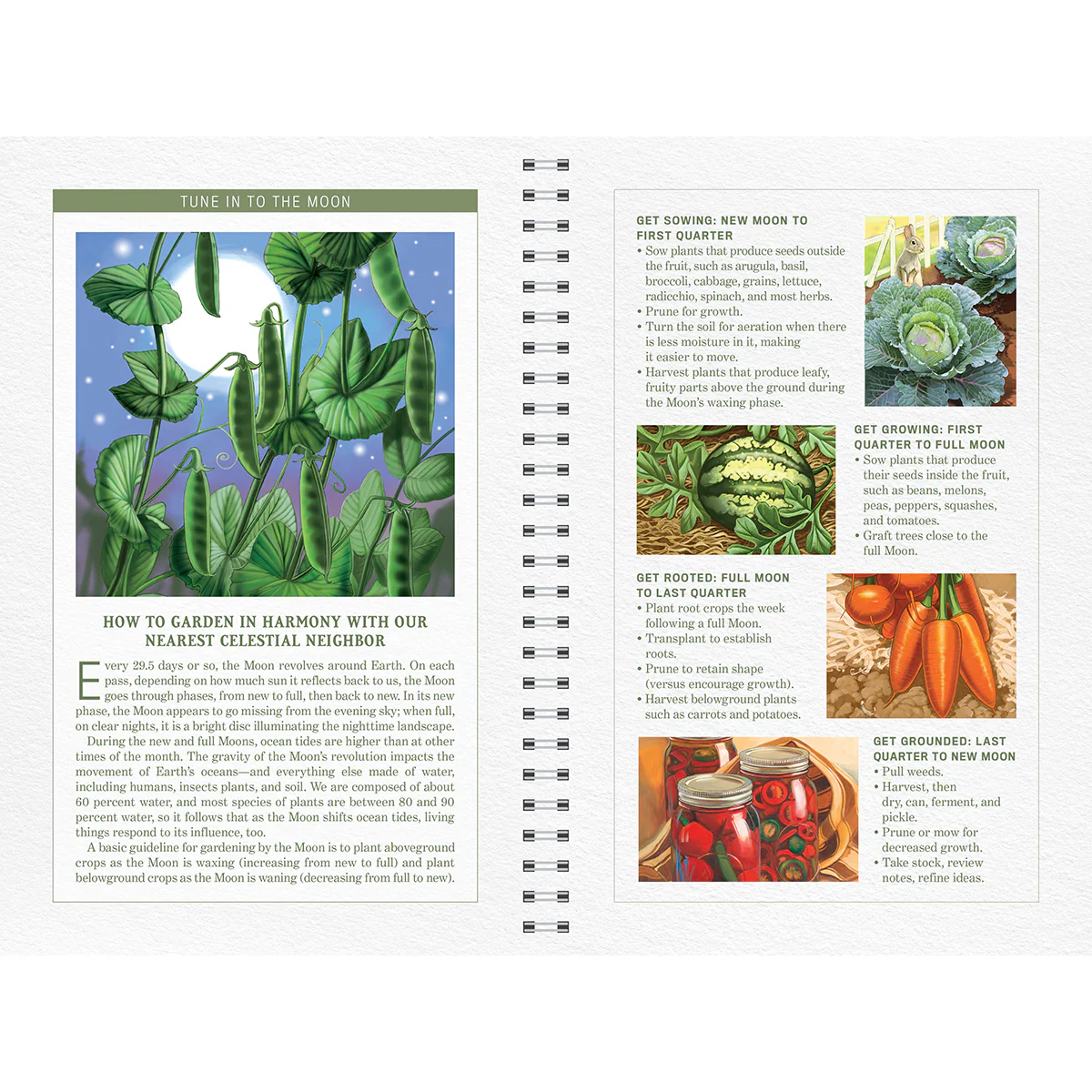 The Old Farmer's Almanac Garden Journal Volume 2 - Image 9