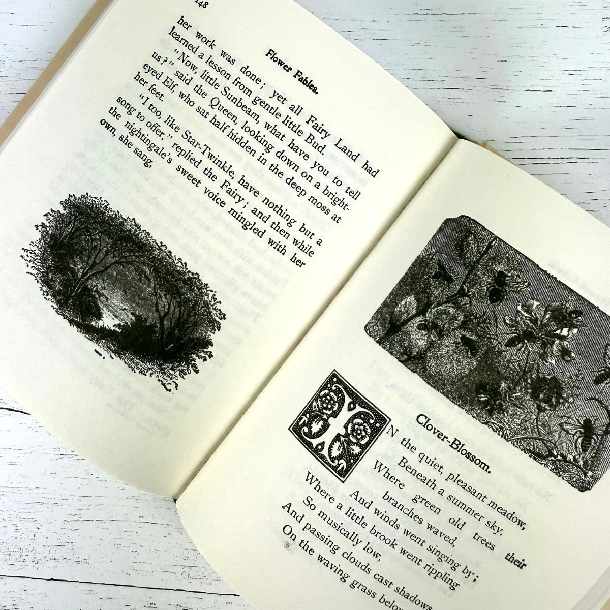 Flower Fables - Image 2