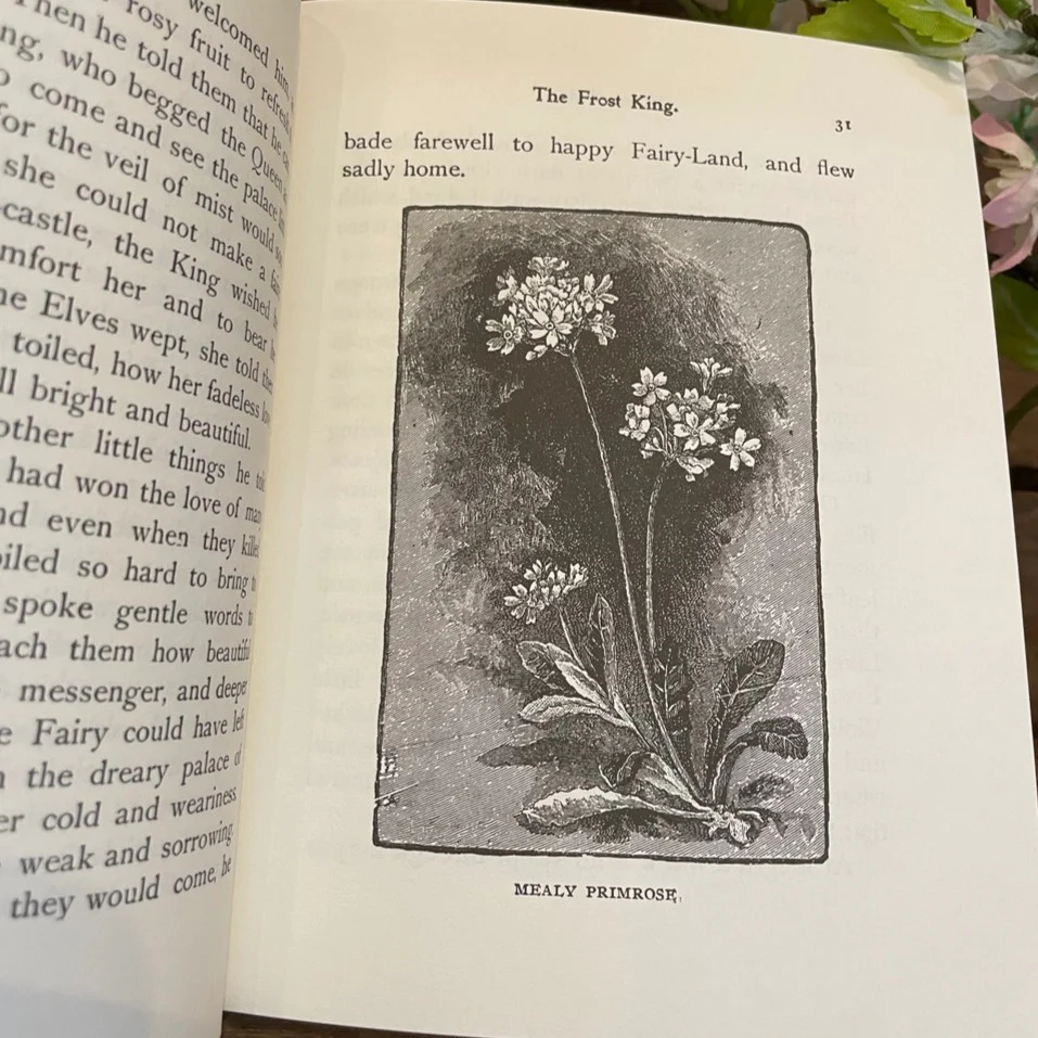 Flower Fables - Image 7