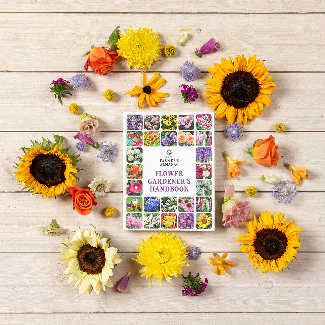 Flower Gardener’s Handbook - Image 2