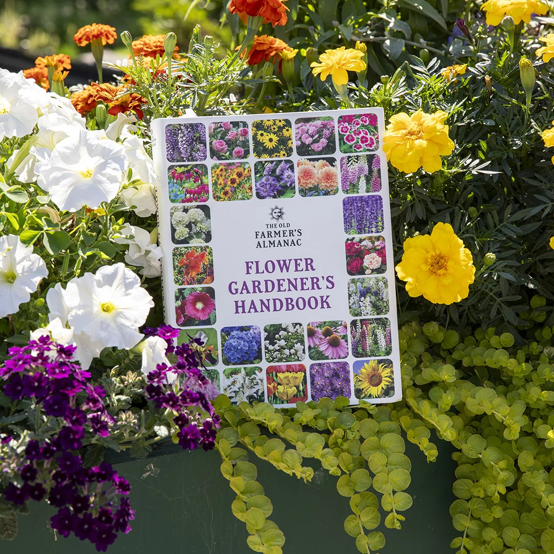 Flower Gardener’s Handbook - Image 3