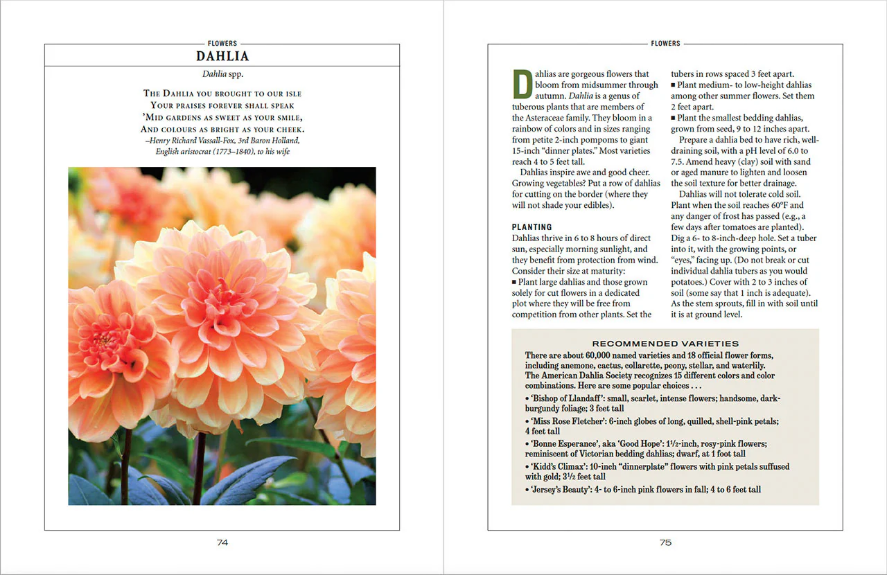 Flower Gardener’s Handbook - Image 12