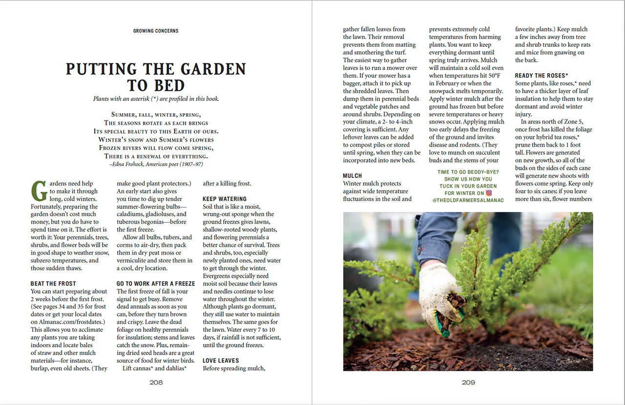 Flower Gardener’s Handbook - Image 15