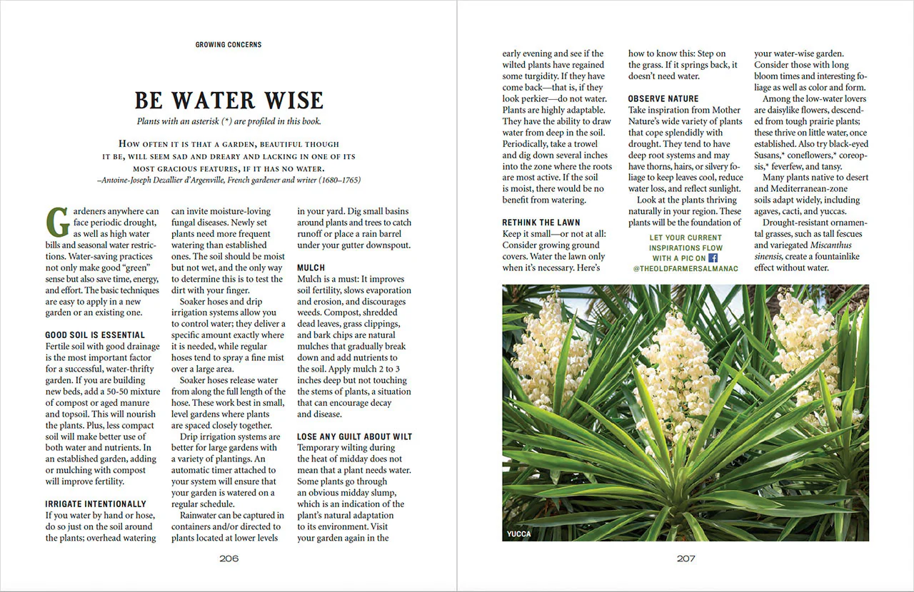 Flower Gardener’s Handbook - Image 19