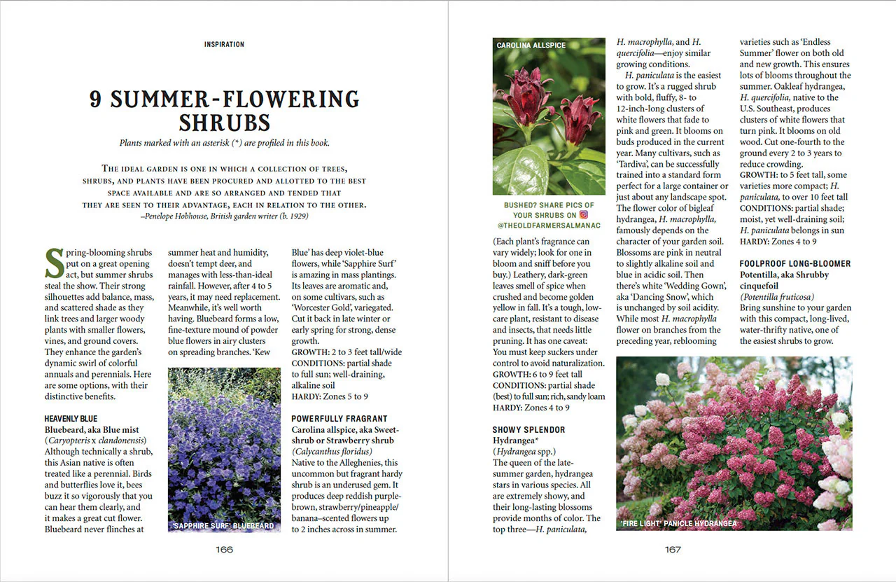 Flower Gardener’s Handbook - Image 24