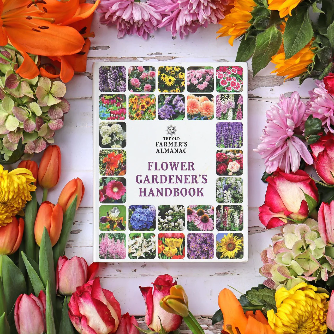 Flower Gardener’s Handbook - Image 26