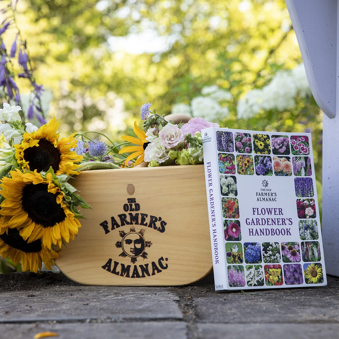 Flower Gardener’s Handbook - Image 8