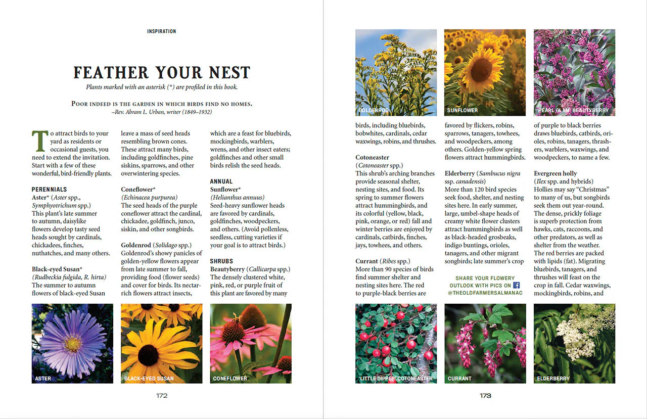 Flower Gardener’s Handbook - eBook - Image 14