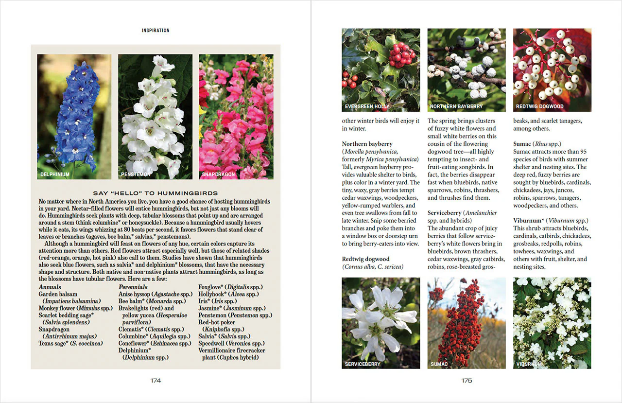 Flower Gardener’s Handbook - eBook - Image 15