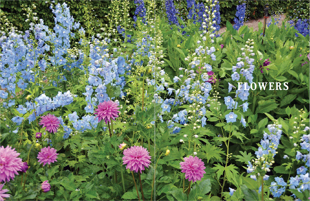 Flower Gardener’s Handbook - eBook - Image 16