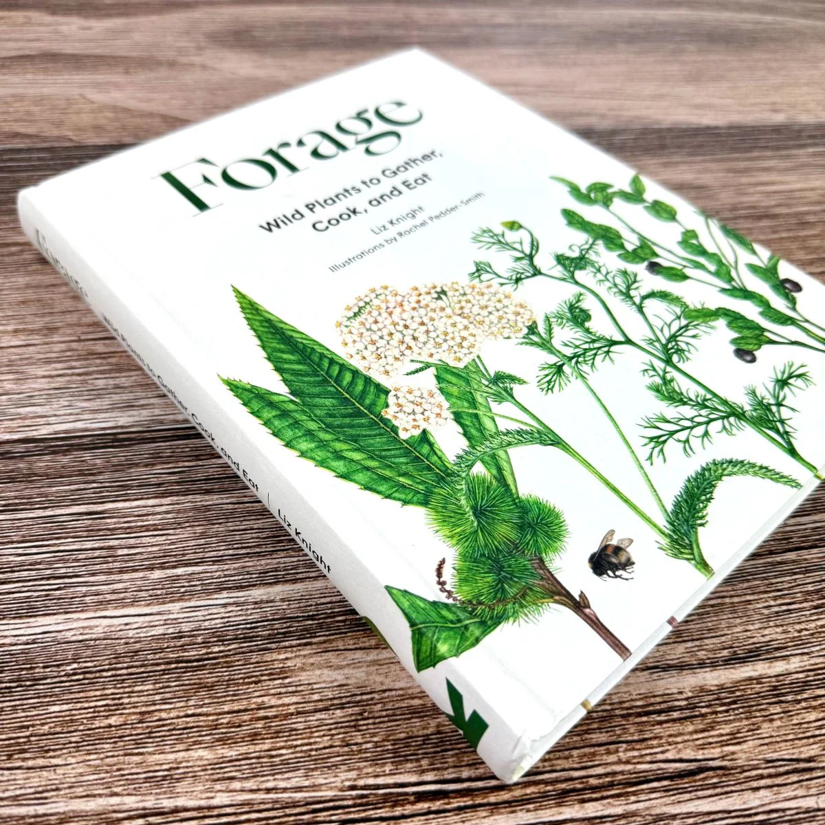 Forage - Image 4