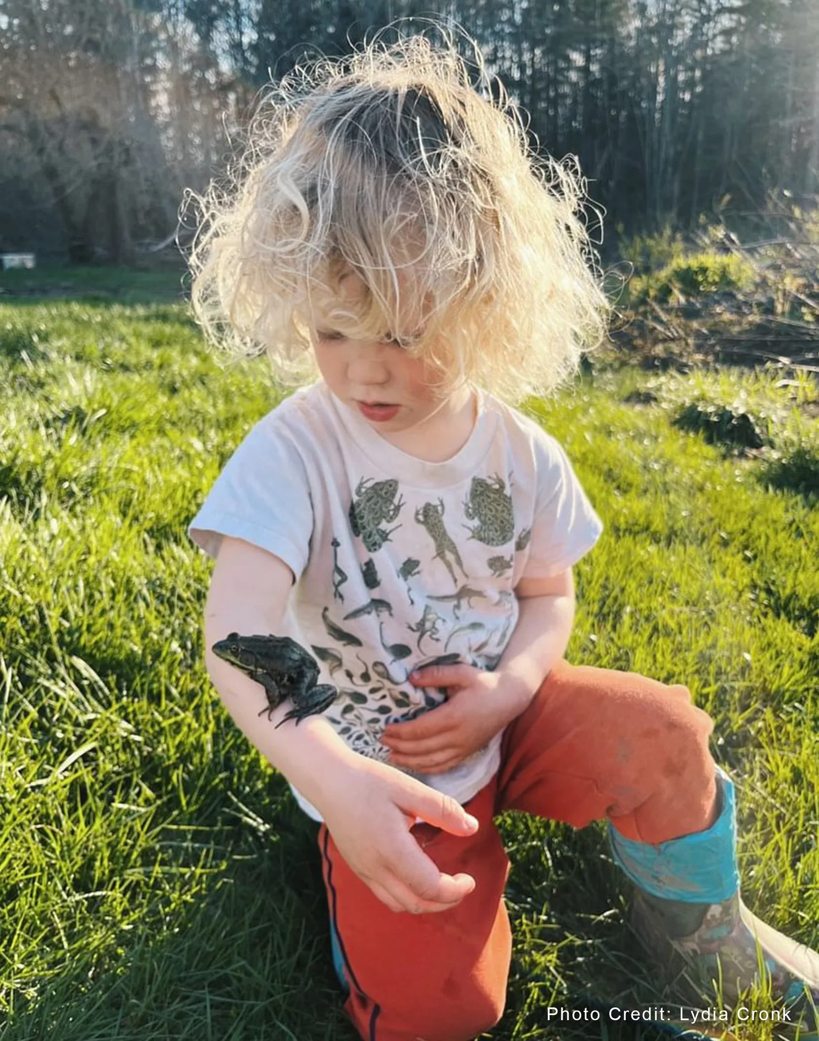 Frog Metamorphosis Youth Tee - Image 3