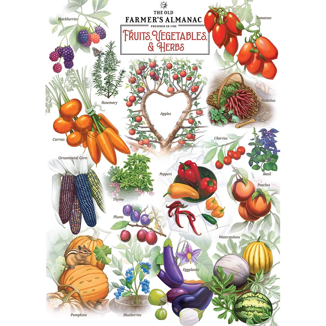 The Old Farmer's Almanac - Fruits Vegetables & Herbs 1000pc Puzzle - Image 3