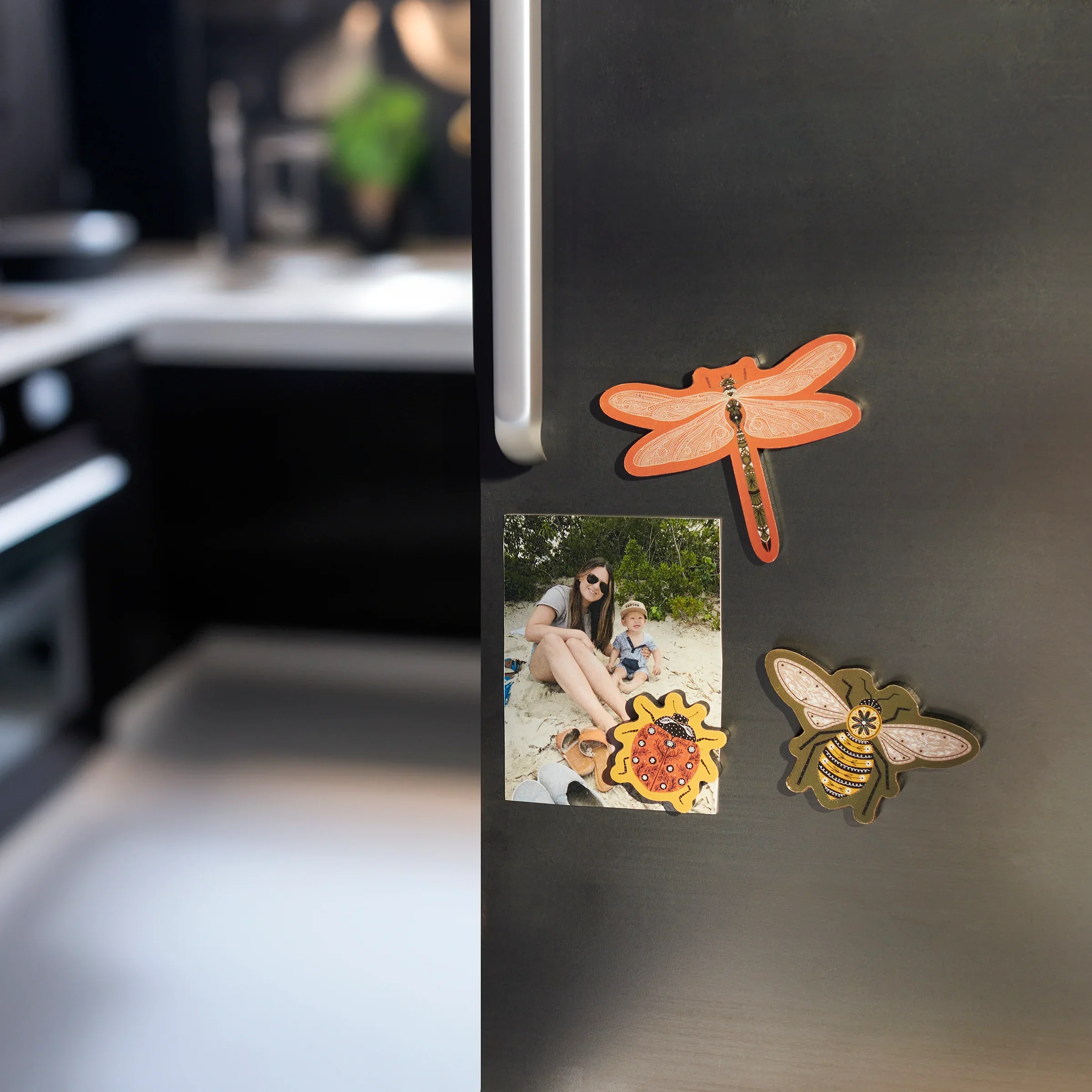 Garden Bug Magnet Set - Image 2