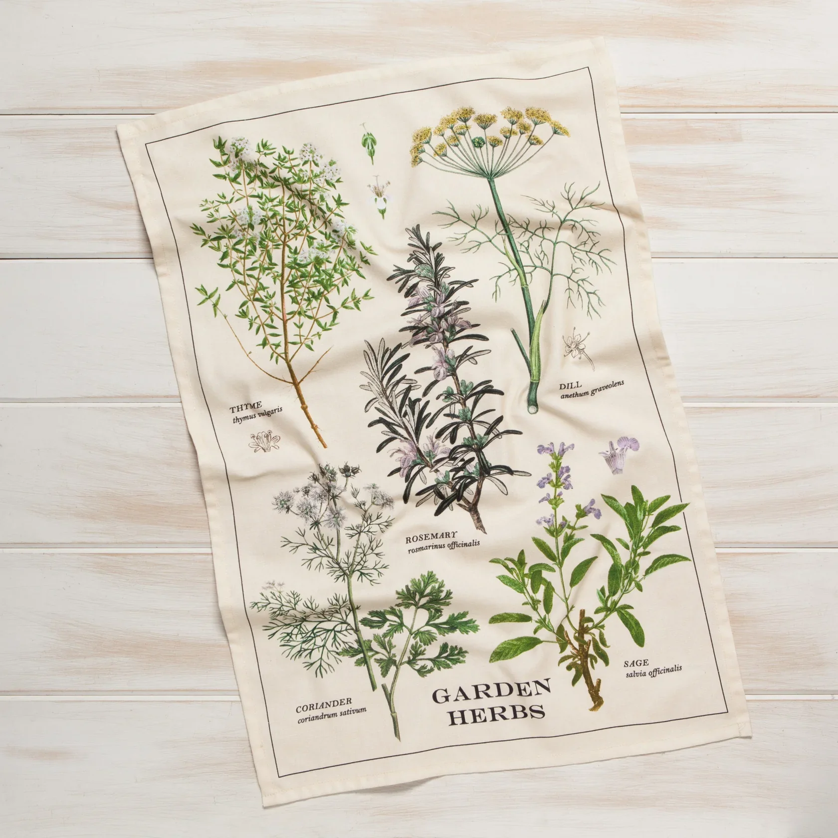 Garden Herbs Dishtowel - Image 3