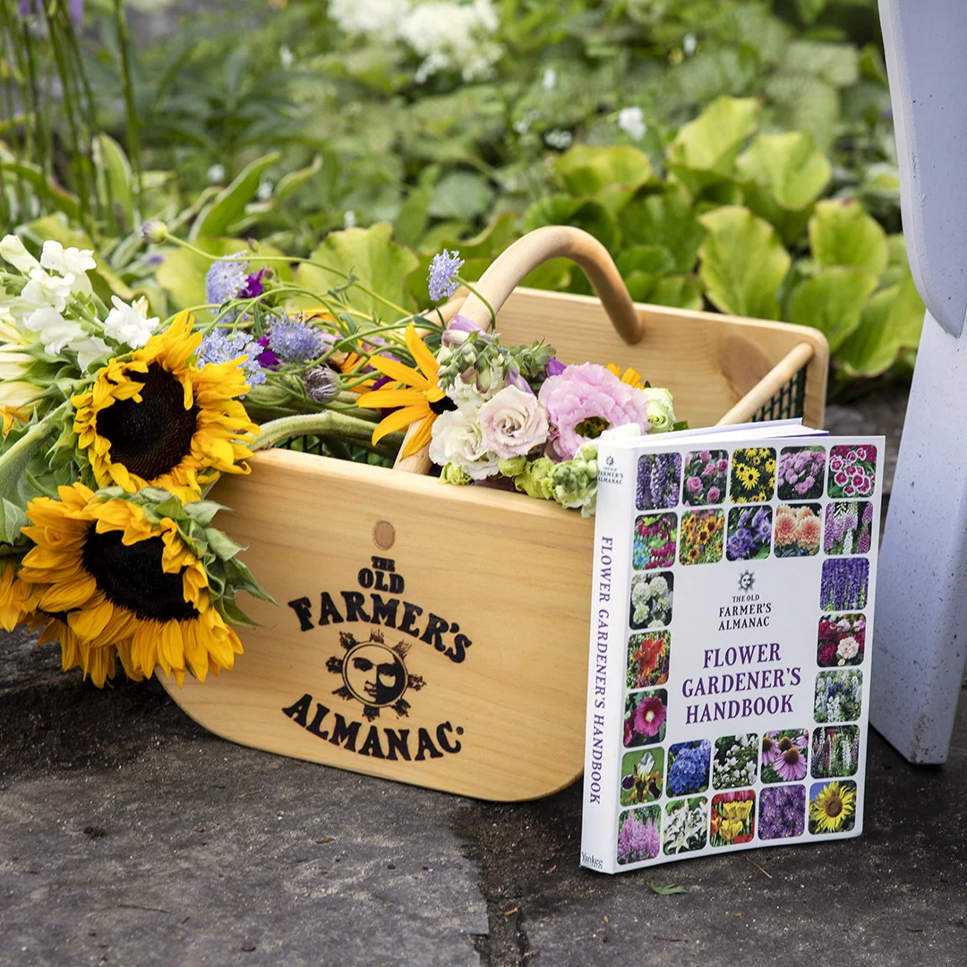 The Old Farmer's Almanac Garden Hod - Image 2