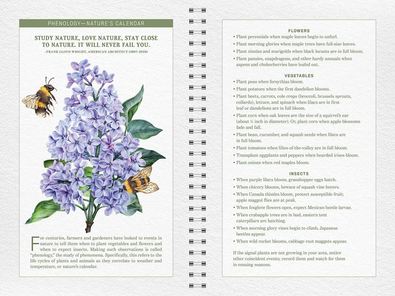 The Old Farmer's Almanac Garden Journal - Image 9