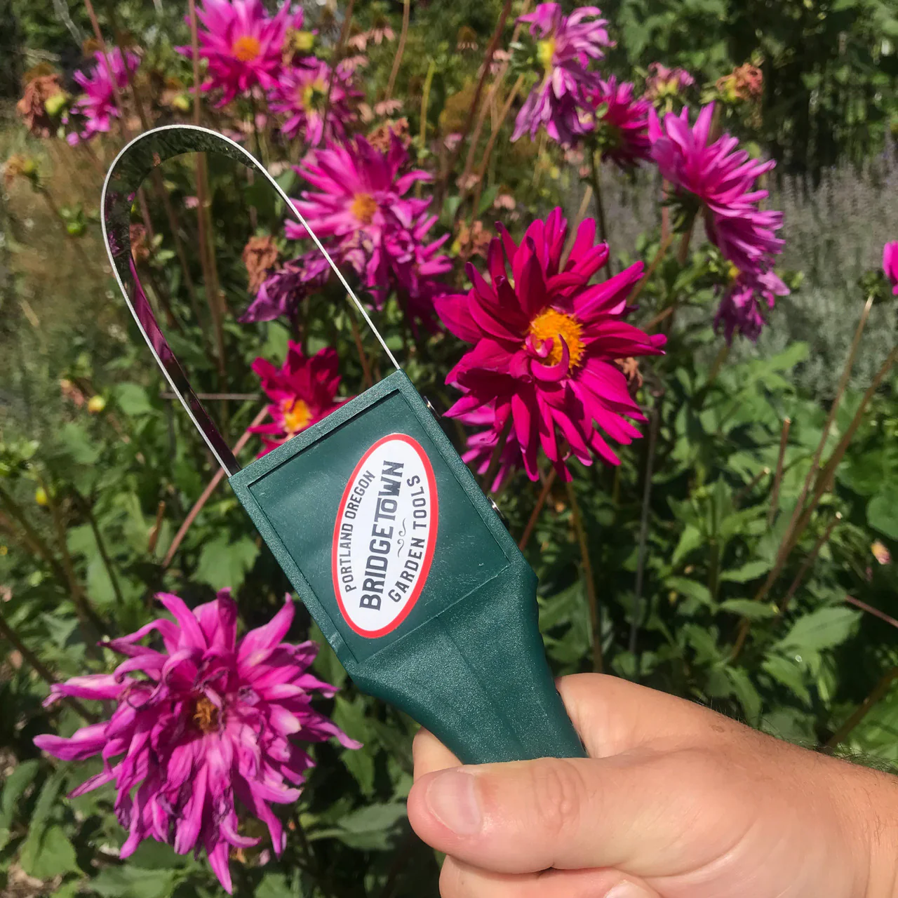 Garden Ninja Loop Weeder - Image 5