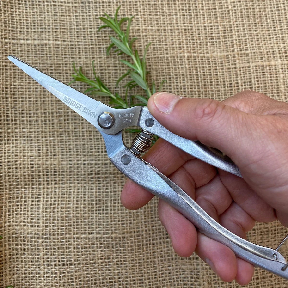 Garden Snips - Image 4