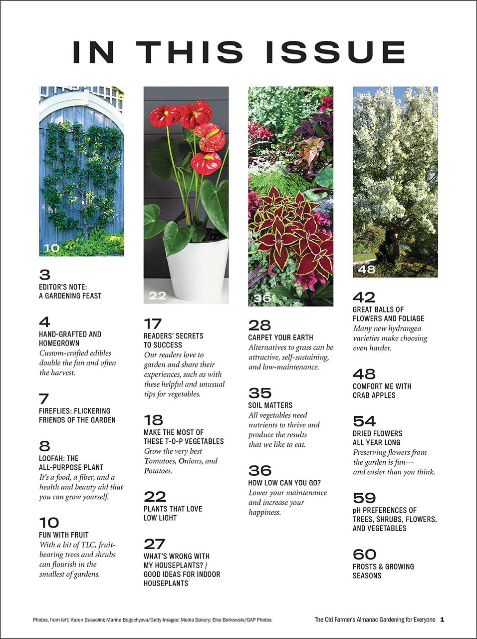 Gardening for Everyone - Volume 3 - Image 2
